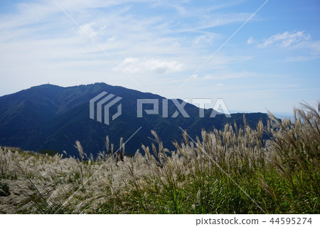 從茨城山看Geumo山 44595274