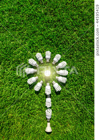 Energy efficient light bulbs on green grass Energy efficient light bulbs on green grass 44595419