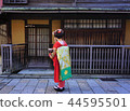 Back view maikohan 44595501