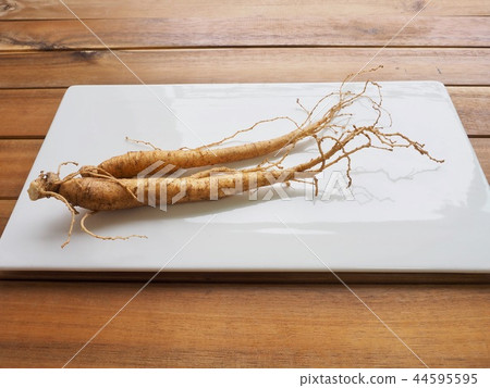 Korean herbal medicine ingredients ginseng, ginseng 44595595