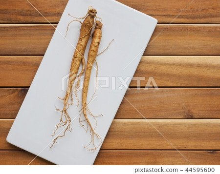 Korean herbal medicine ingredients ginseng, ginseng 44595600