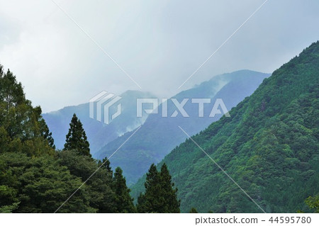 Iya, the secret area of Shikoku 44595780