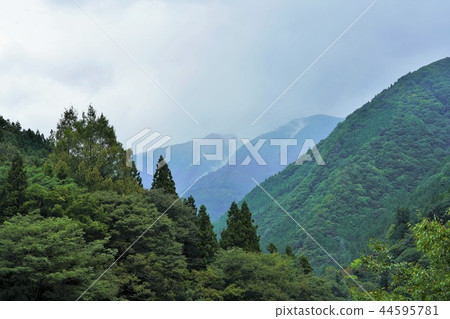 Iya，四國的秘密地區 44595781