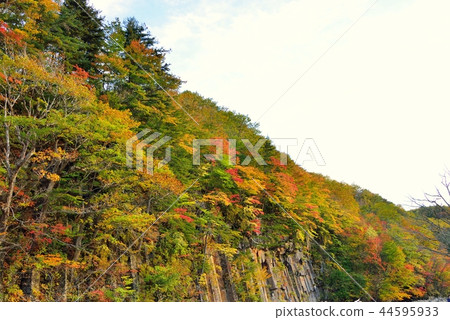 Matsukawa Valley in the fall 44595933