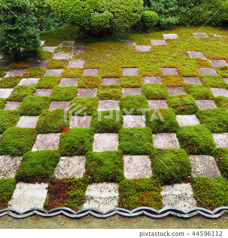 Tofuku-ji Temple North Garden Tofuku-ji Temple North Garden 44596112