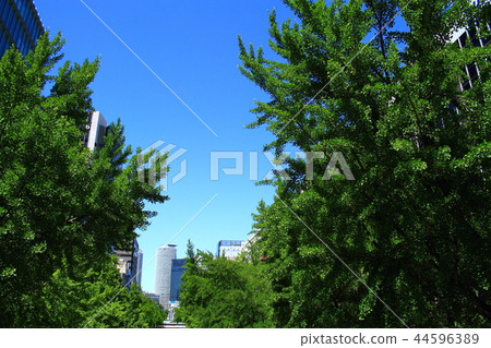 從名古屋市的櫻花看到的名古屋車站地區的風景 從名古屋市的櫻花看到的名古屋車站地區的風景 44596389