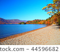 Autumnal leaves of Towada 44596682