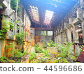 Taro mine trace 44596686