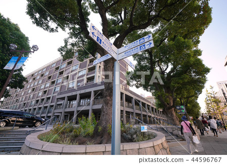 日本的橫濱市容我希望橫濱市政廳等。 44596767