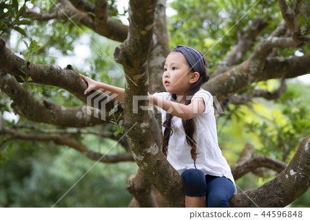 Girls climbing trees Girls climbing trees 44596848