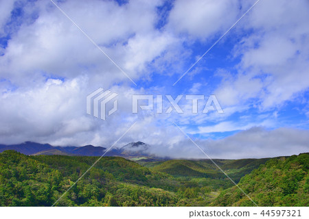 Yatsugatake Plateau 44597321