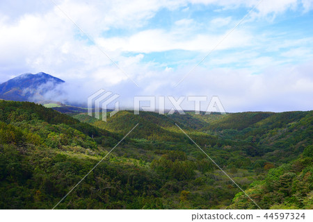 Yatsugatake高原 44597324