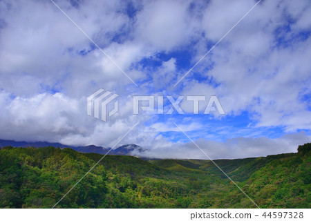 Yatsugatake Plateau 44597328