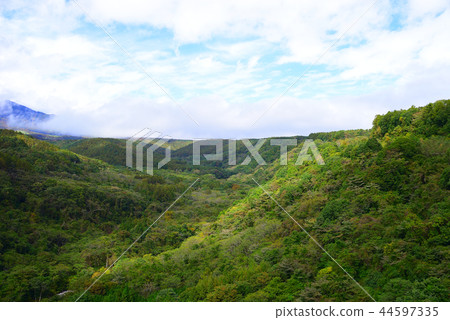 Yatsugatake Plateau 44597335