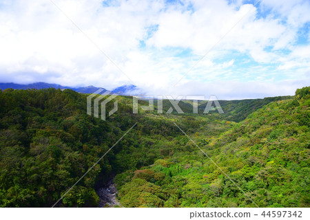 Yatsugatake高原 44597342