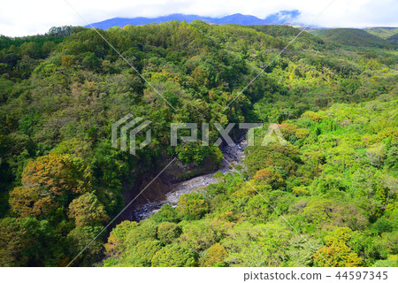 Yatsugatake Plateau 44597345