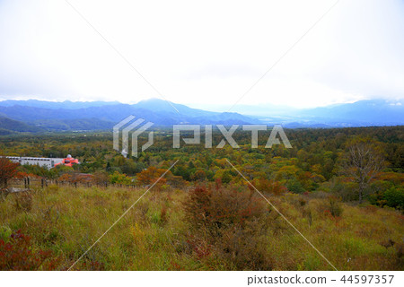 Kiyosato plateau in the early autumn 44597357