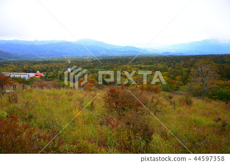 Kiyosato plateau in the early autumn 44597358