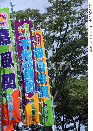 Sumo wrestling rally climbing Sumo wrestling rally climbing 44597607