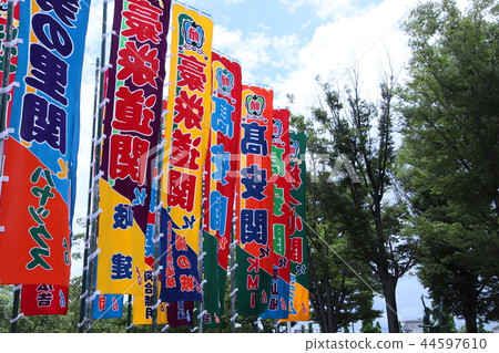 相撲摔跤拉力賽攀登 44597610