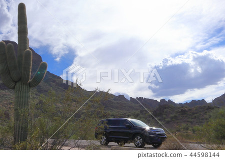 Landscape with cactus of Arizona Benkei Column Saguaro 44598144