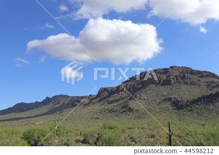 Landscape with cactus of Arizona Benkei Column Saguaro Landscape with cactus of Arizona Benkei Column Saguaro 44598212