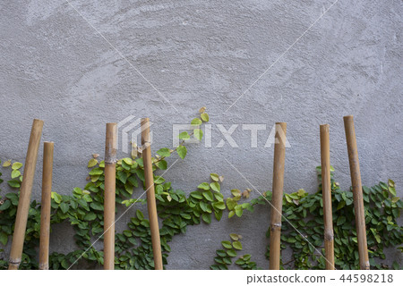 Vintage style bamboo with concrete wall 44598218