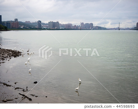 淡水河邊 44598693