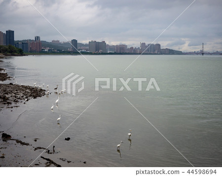 淡水河邊 淡水河邊 44598694