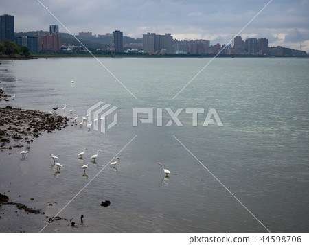 淡水河邊 淡水河邊 44598706