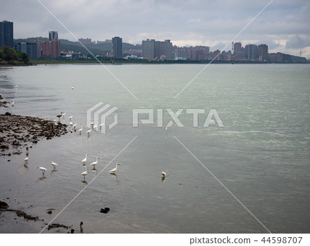 淡水河邊 淡水河邊 44598707