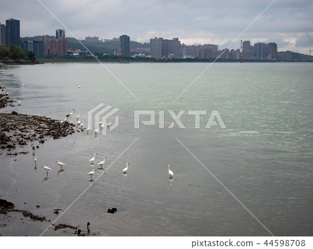 淡水河邊 淡水河邊 44598708