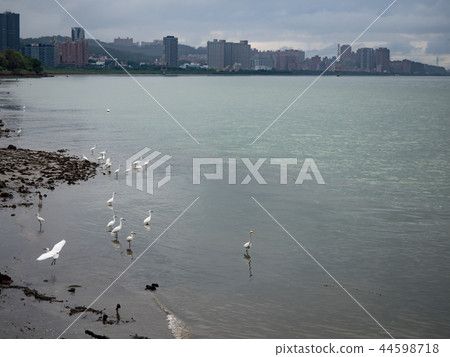 淡水河邊 44598718