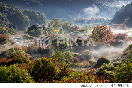 秘密花園。我 44599148