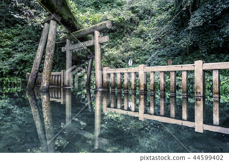 御手洗池塘 44599402