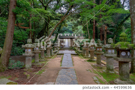 Tokoji Temple MORI Michisho 44599636