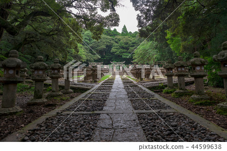 Tokoji Temple MORI Michisho Tokoji Temple MORI Michisho 44599638