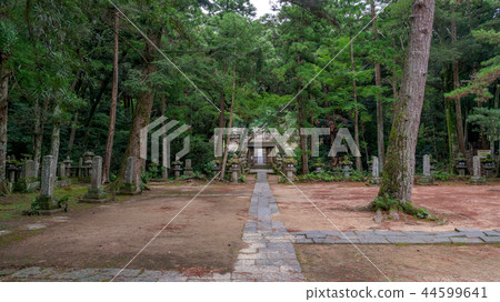 Tokoji Temple MORI Michisho 44599641