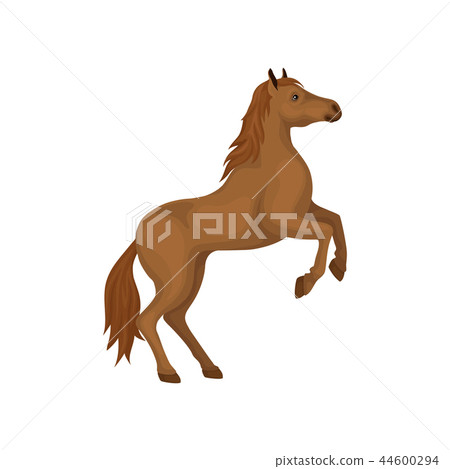 Brown horse rearing up. Animal with hooves, beautiful flowing mane and long tail. Flat vector design 44600294