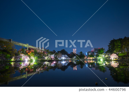 Chiba Park Yozakura Light Up (Chuo Ward, Chiba City, Chiba Prefecture) March 2018 Chiba Park Yozakura Light Up (Chuo Ward, Chiba City, Chiba Prefecture) March 2018 44600796