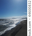 Sea	 44600832