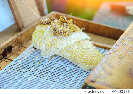 honey frame front view. made of wood and full  44600938