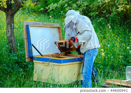 Two beekeepers work on an apiary. Summer 44600941