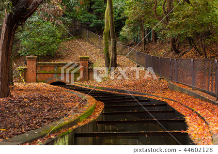 金楓，水道閣，建築，京都，日本 44602128