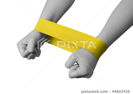 Close-up isolated green sport strap for stretching Close-up isolated green sport strap for stretching 44603456