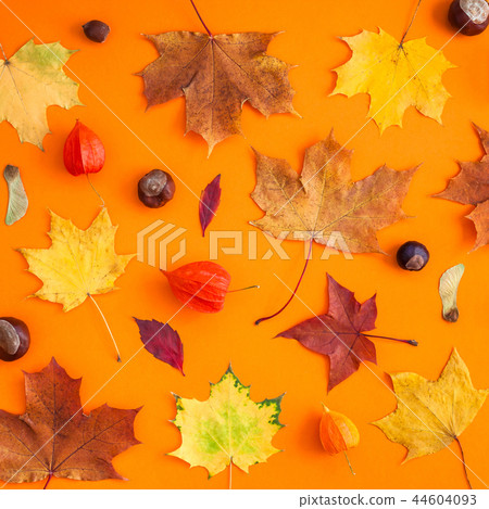 Dry autumn leaves as a frame template 44604093