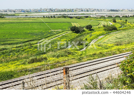Agriculture scenic view of green fields, river Agriculture scenic view of green fields, river 44604246