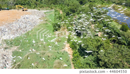 bird's eye view of garbage mountain. bird's eye view of garbage mountain. 44604550
