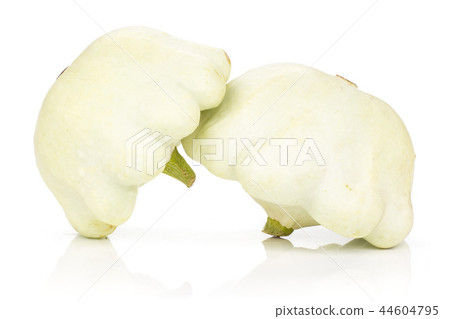 summer white pattypan squash summer white pattypan squash 44604795