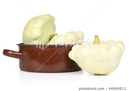 summer white pattypan squash 44604812